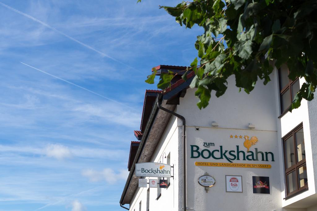 Hotel Und Landgasthof Zum Bockshahn Spessart  Екстериор снимка