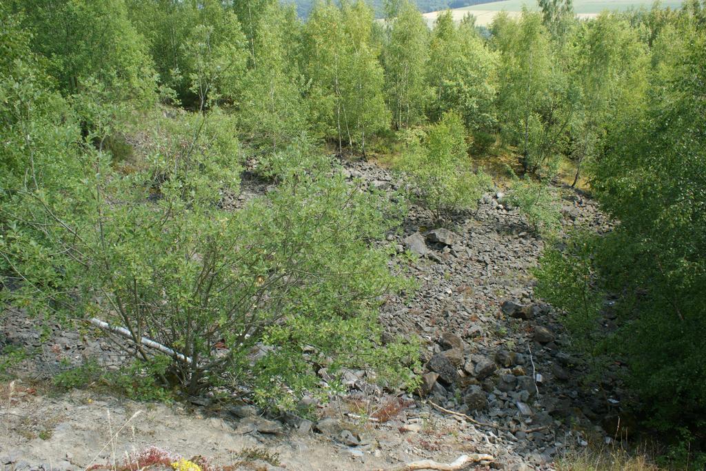 Hotel Und Landgasthof Zum Bockshahn Spessart  Екстериор снимка